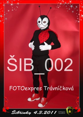 obrázek